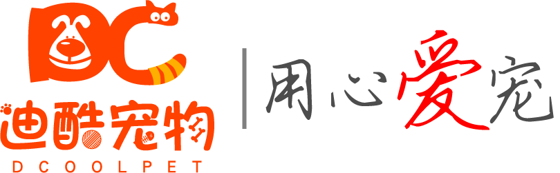 首页